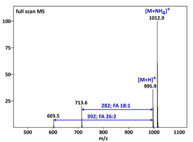 APCI MS spectrum of triacylglycerol TAG 18:1/26:2/18:1