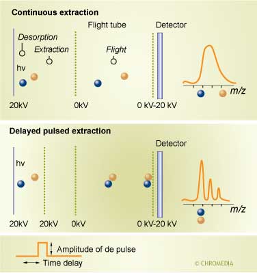 Continuous and delayed extraction