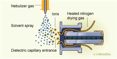 A set up with Nitrogen as 'drying gas'