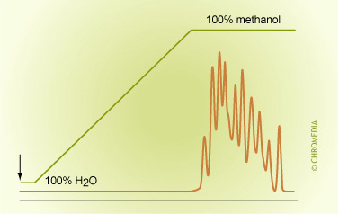 Ghost peaks with gradient elution