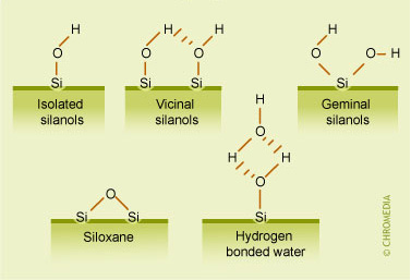 Different silanol groups on silica surface