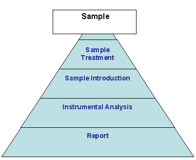 Stages of the analytical process